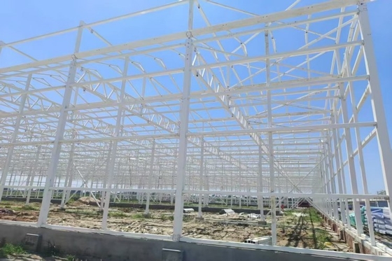 Bom preço. Estrutura de estufa de filme multi-vão chave na mão, estufa comercial, estruturas para plantas on-line